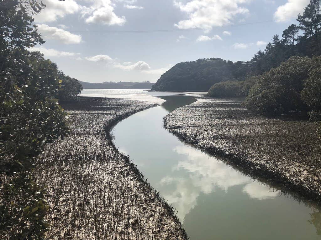 Opua to Paihia Section