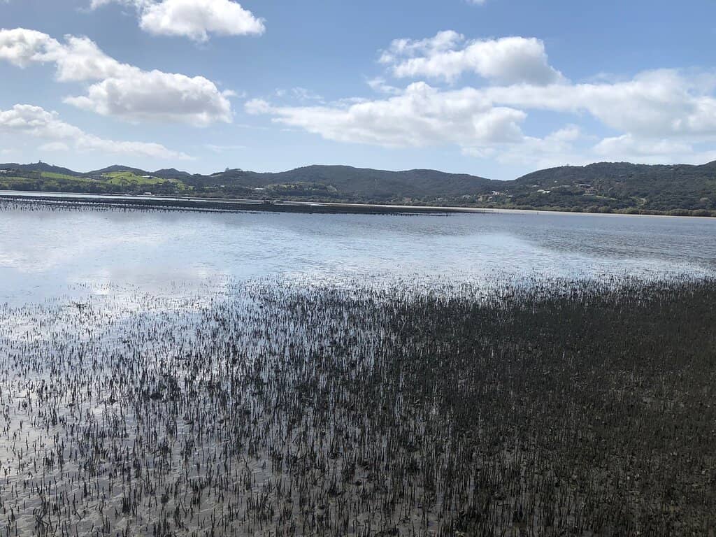 Bay of Islands Vistas