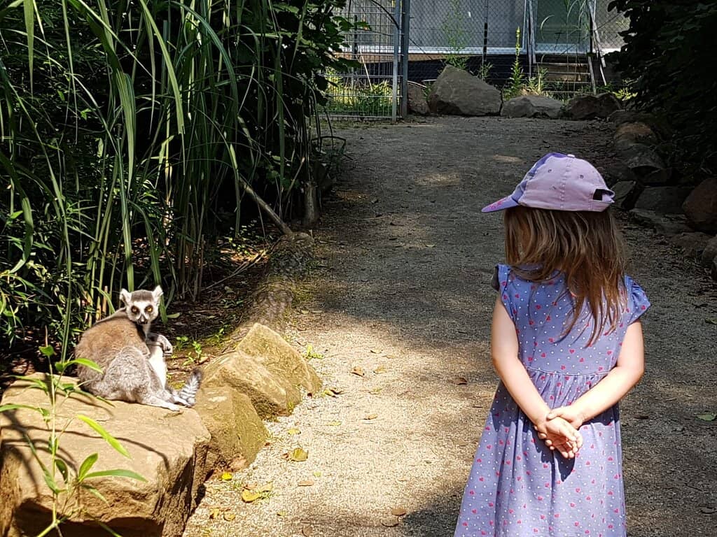 Children's Playground