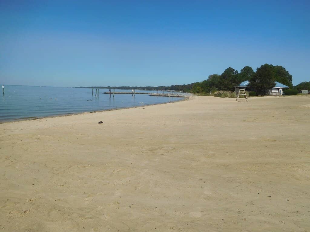 Rose Garden Serenity