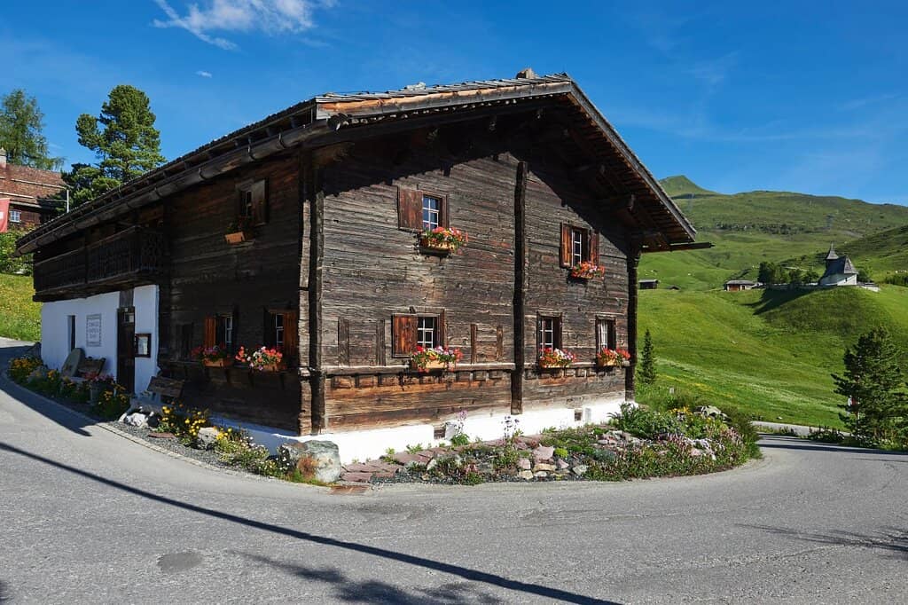 Everyday Objects & Firearms