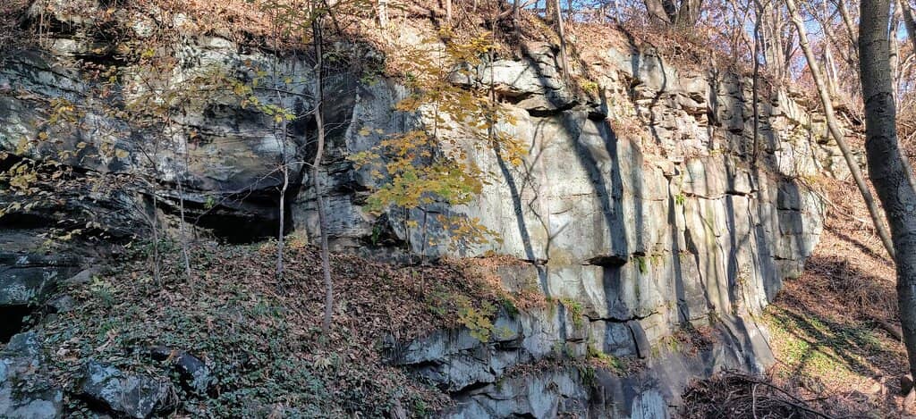 Scenic Forest Trails