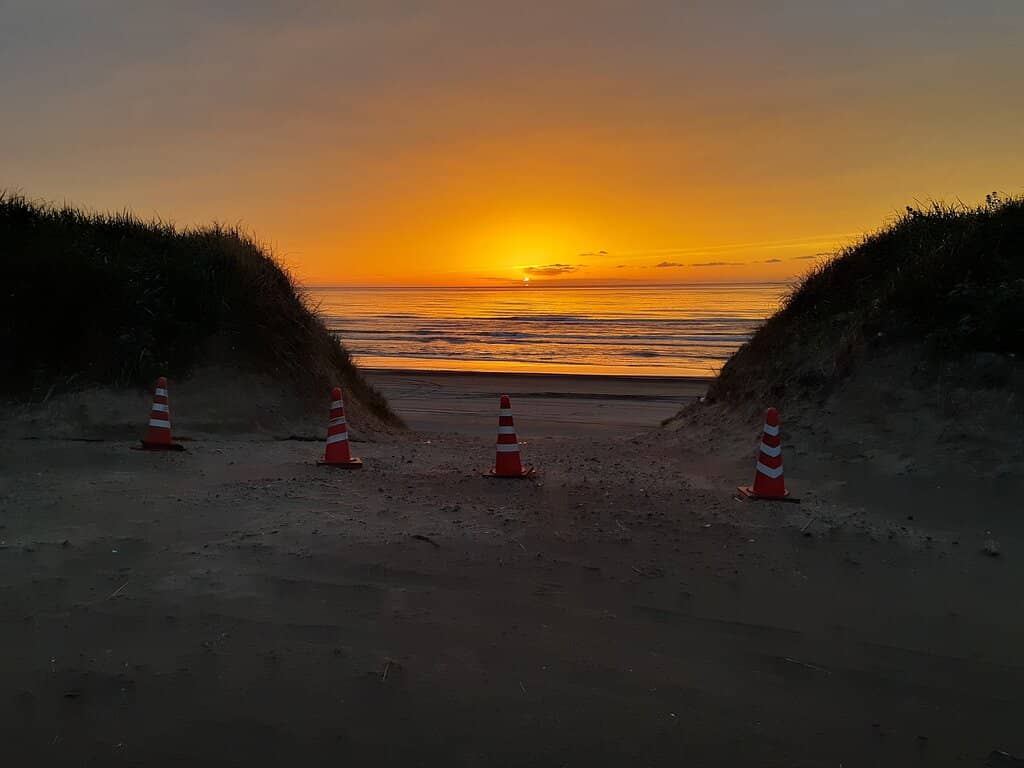 Sunset Views