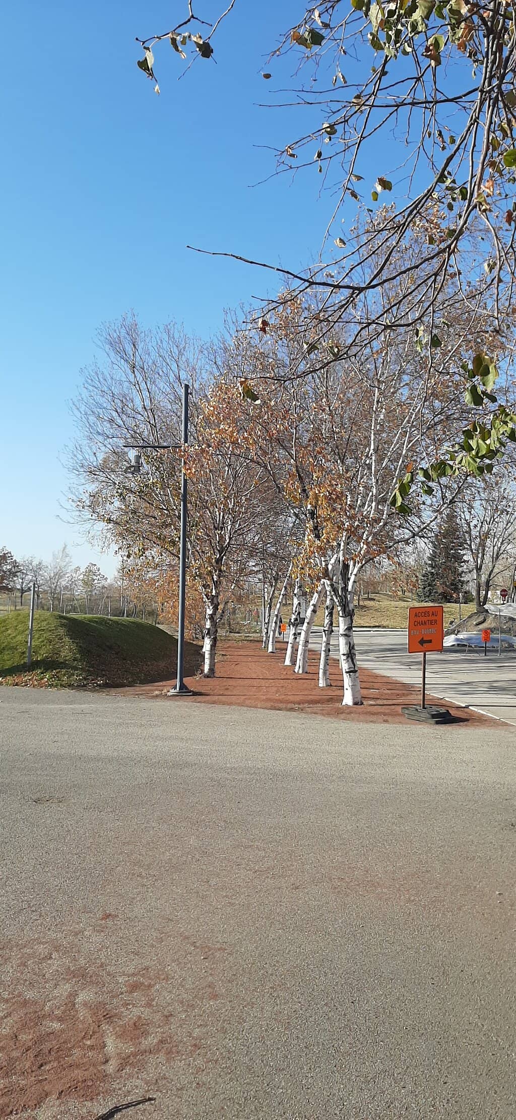 Skate Park & Sports Fields