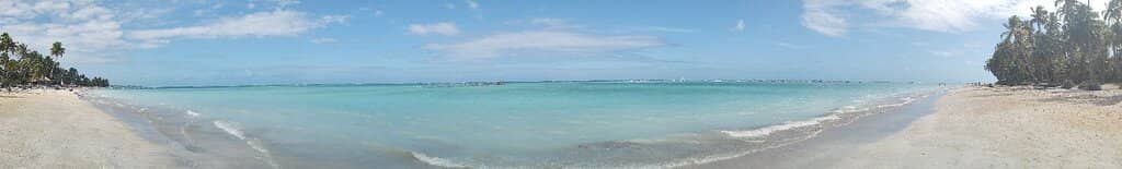 Sandy Banks