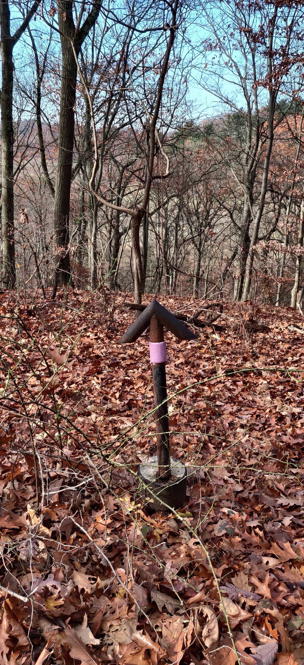 Sculpture Garden