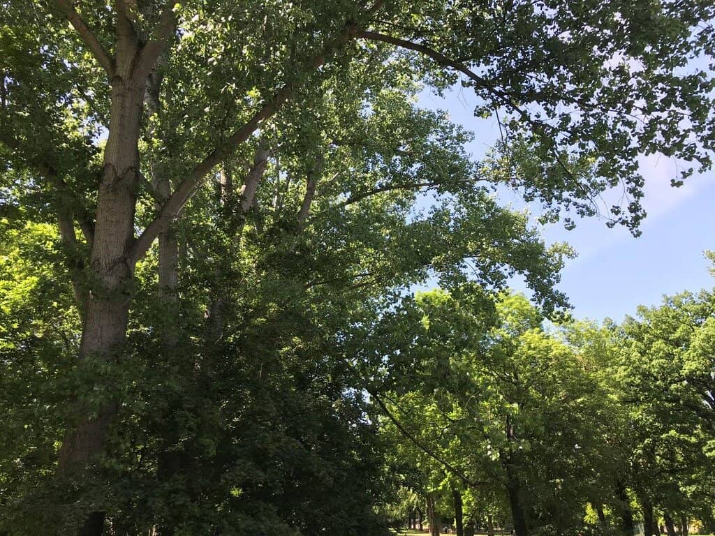 Vertical photo