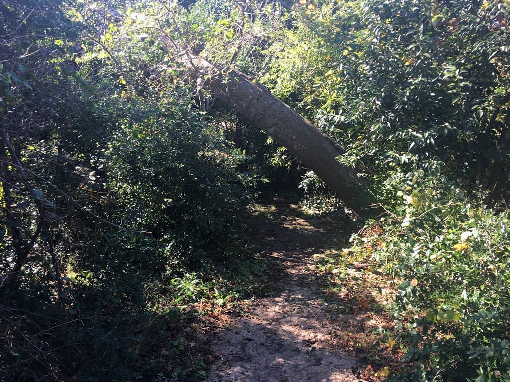 Historical Significance