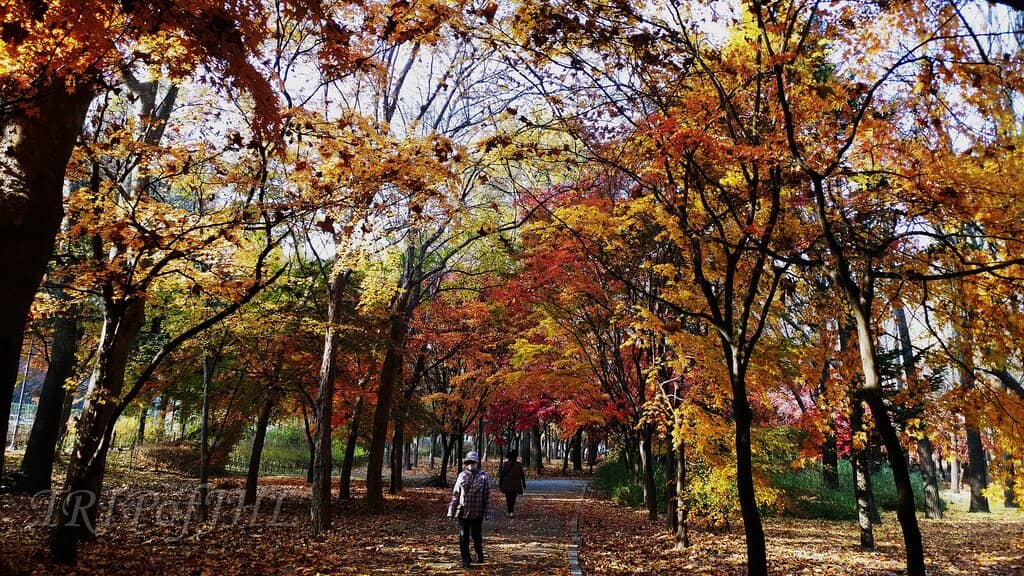 Sampoong Department Store Collapse Memorial