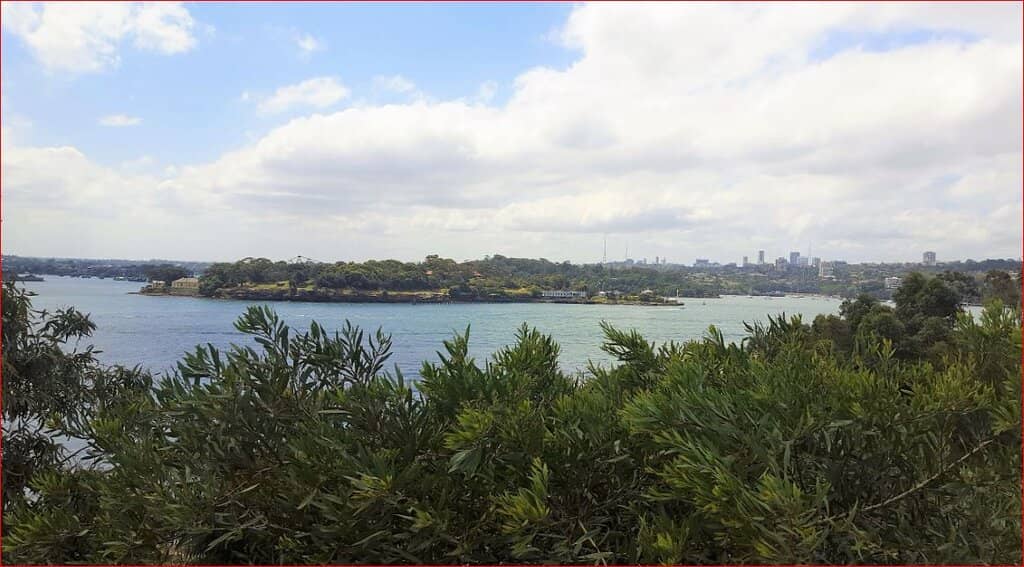 Henry Deane Rooftop Bar