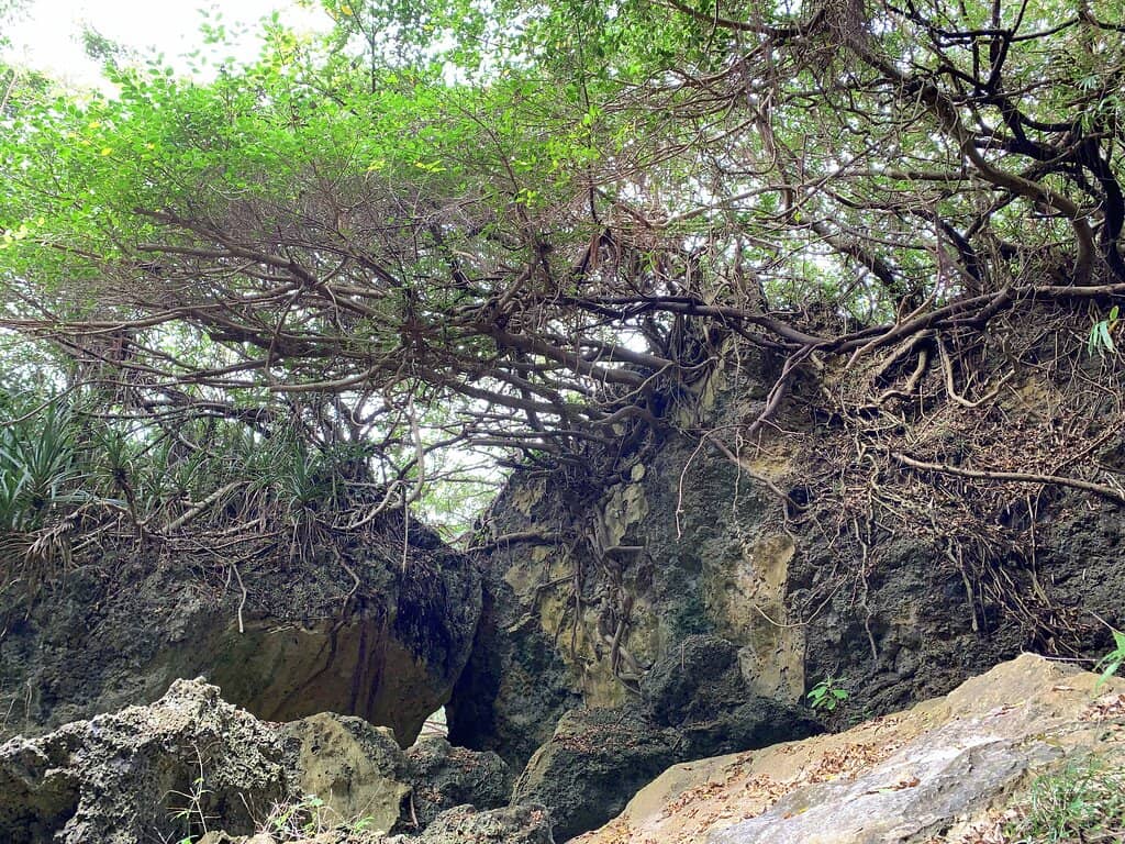 Seaside Cave Walk