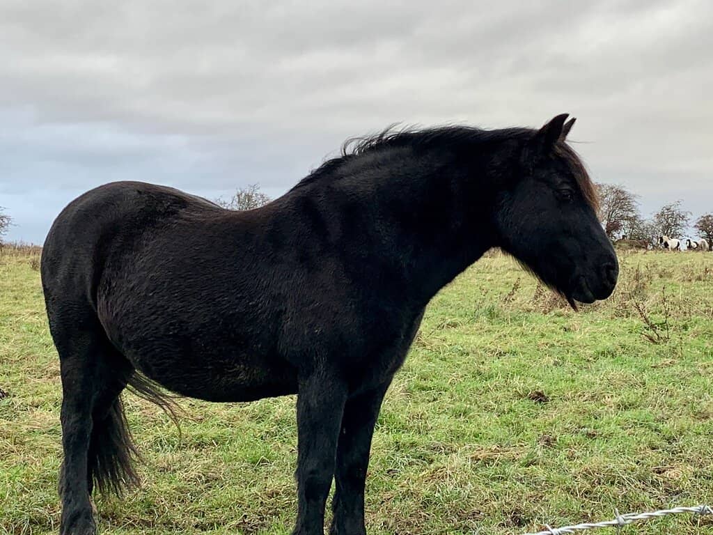 River Tame Paddling Spot