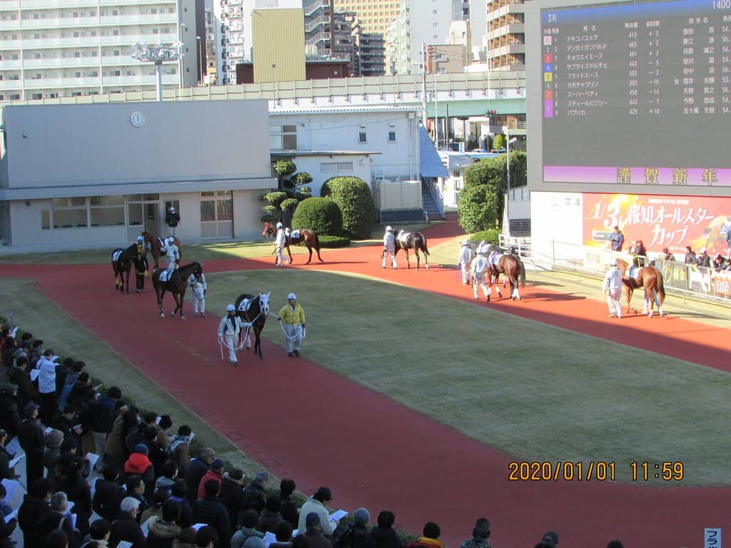 Attack on Titan Wall Display