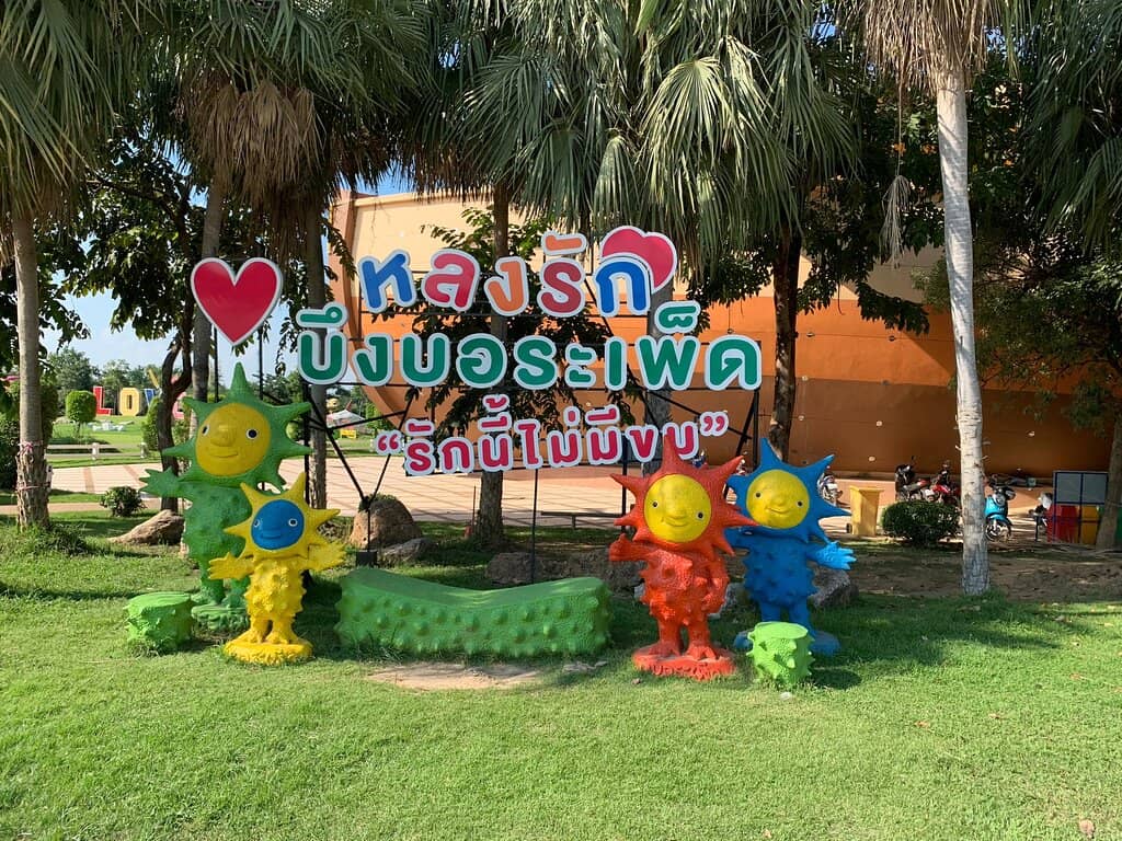 Siamese Crocodile Spotting