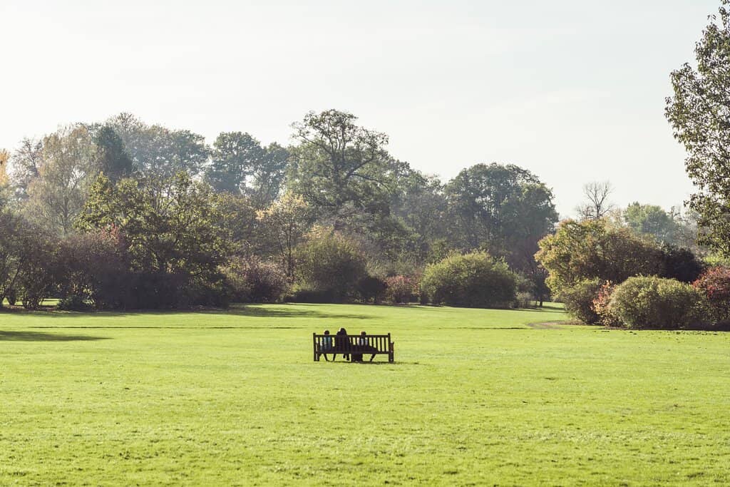 Medicinal Plant Garden