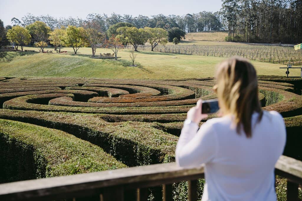 The Grand Hedge Maze
