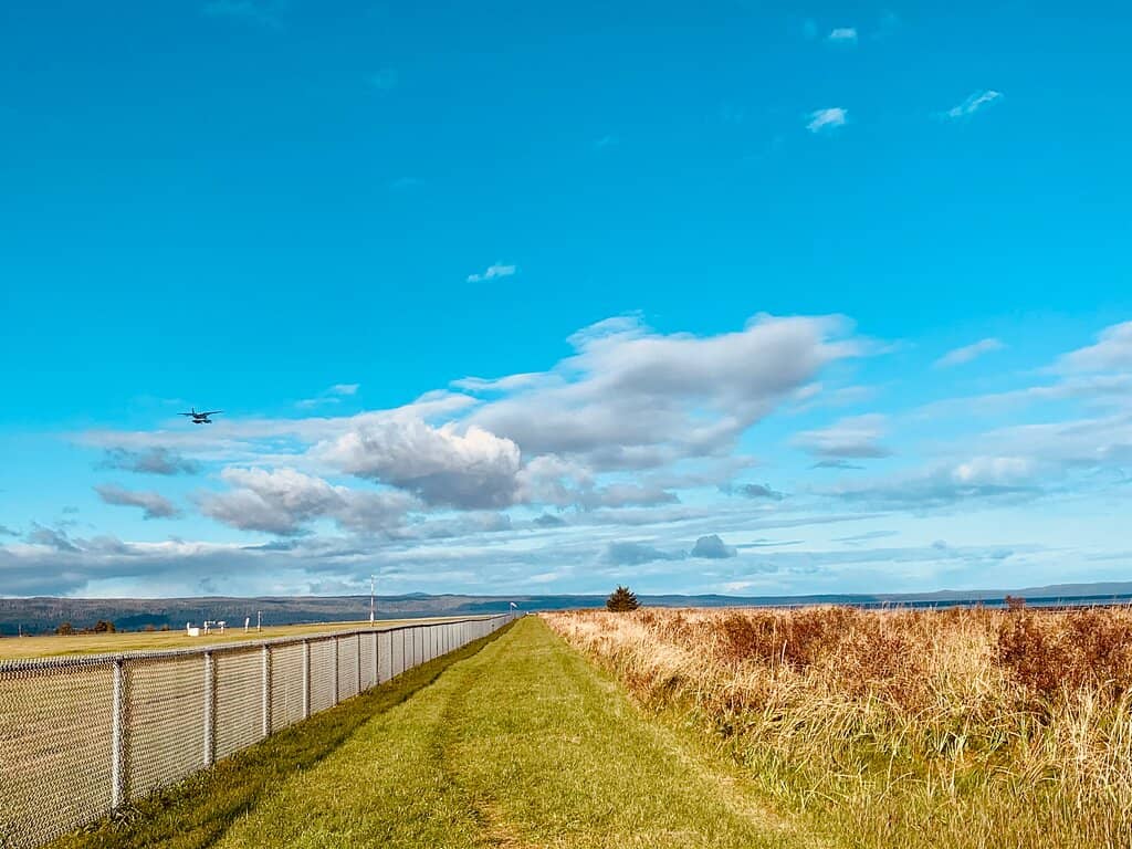 Coastal Birdwatching