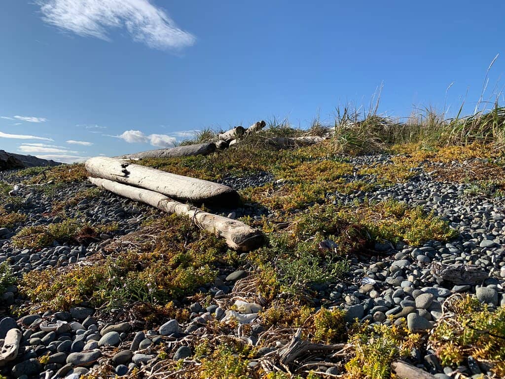The Natural Sand Spit