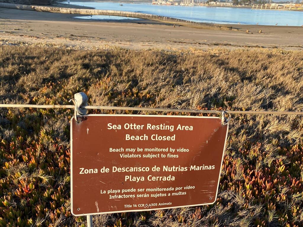 Kayaking Elkhorn Slough