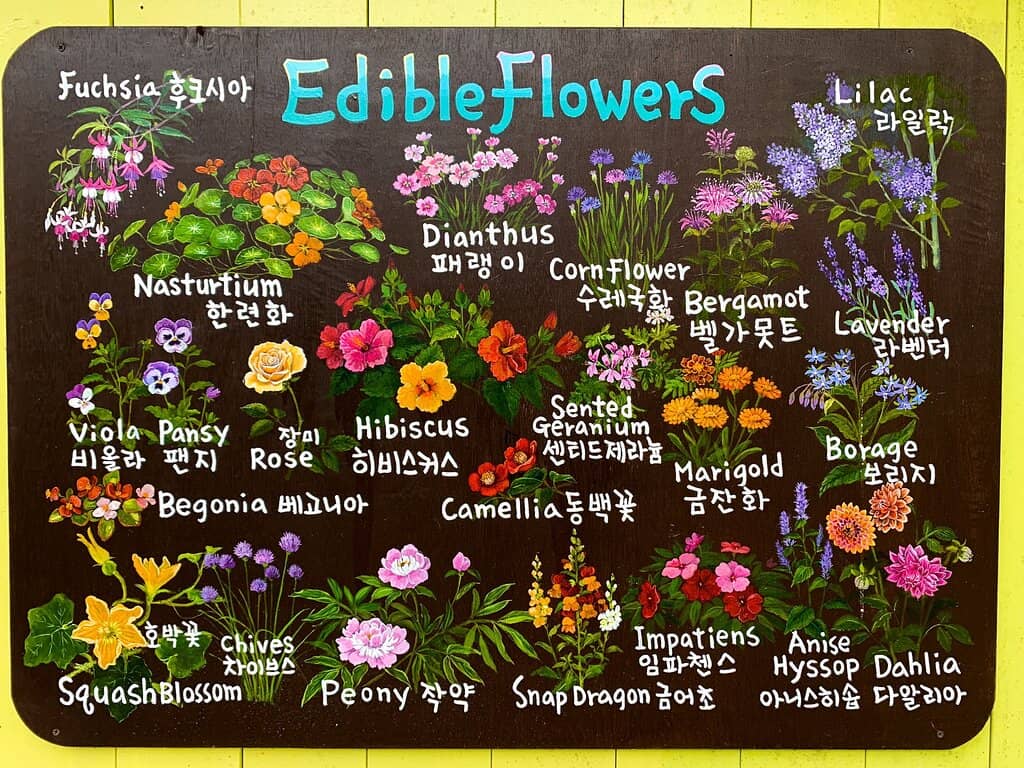 Cool Valley Water Soak