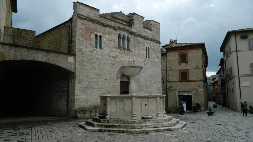 Vertical photo