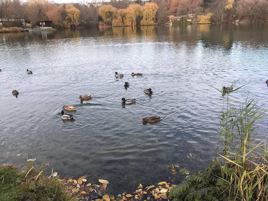 Playgrounds for All Ages