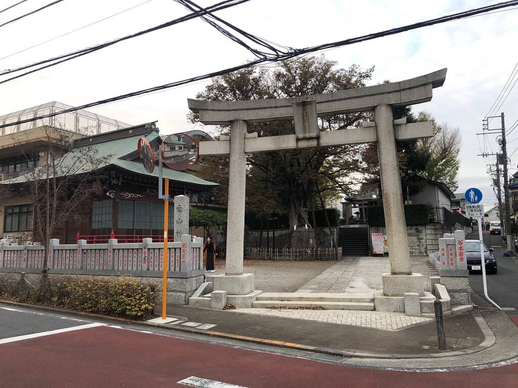 Vertical photo