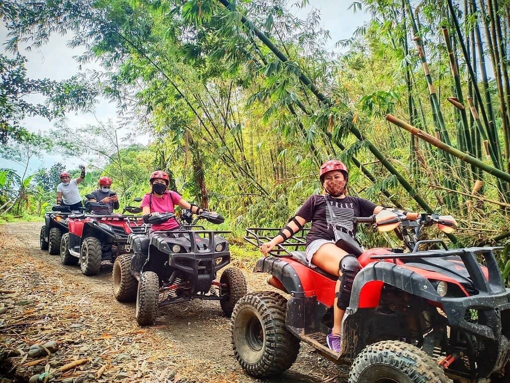 The Hows of Paws Cat Sanctuary