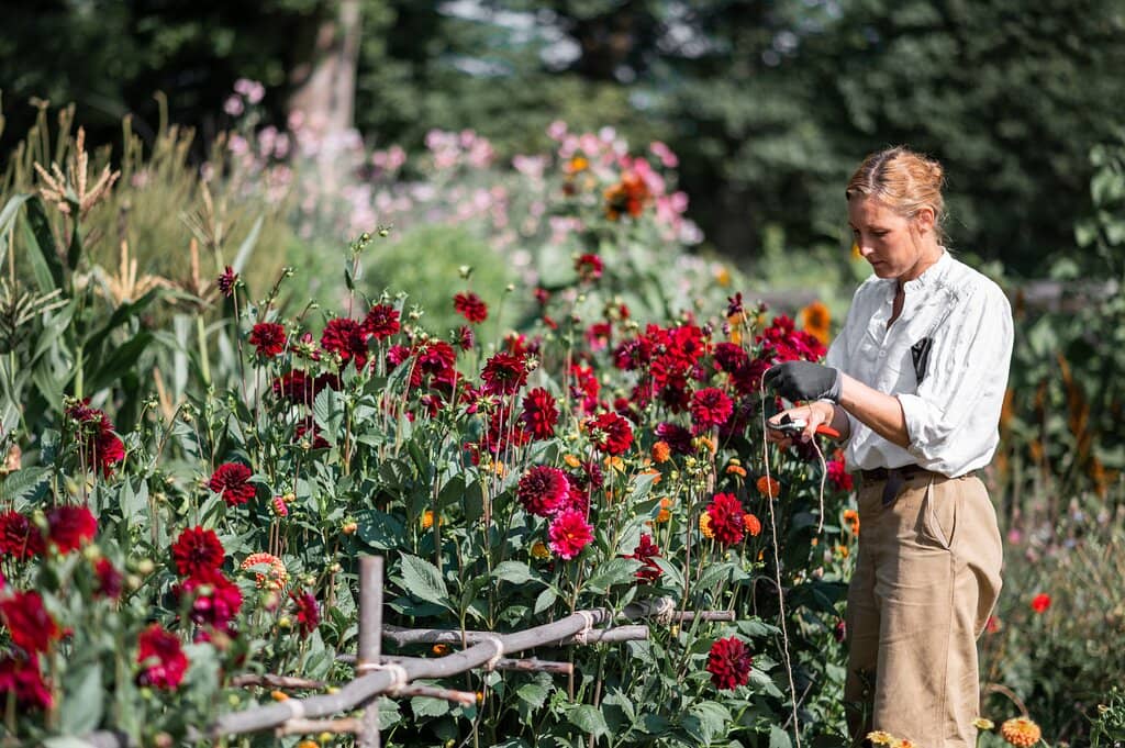 Farm-to-Table Dining