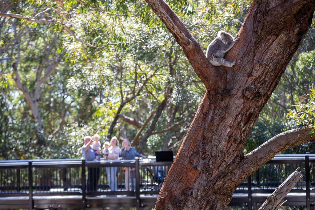 Glamping & Overnight Stays