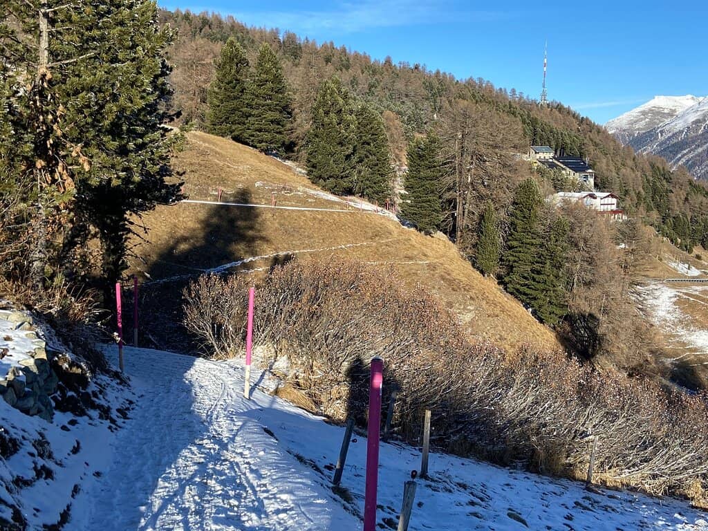 Heidi's Authentic Hut