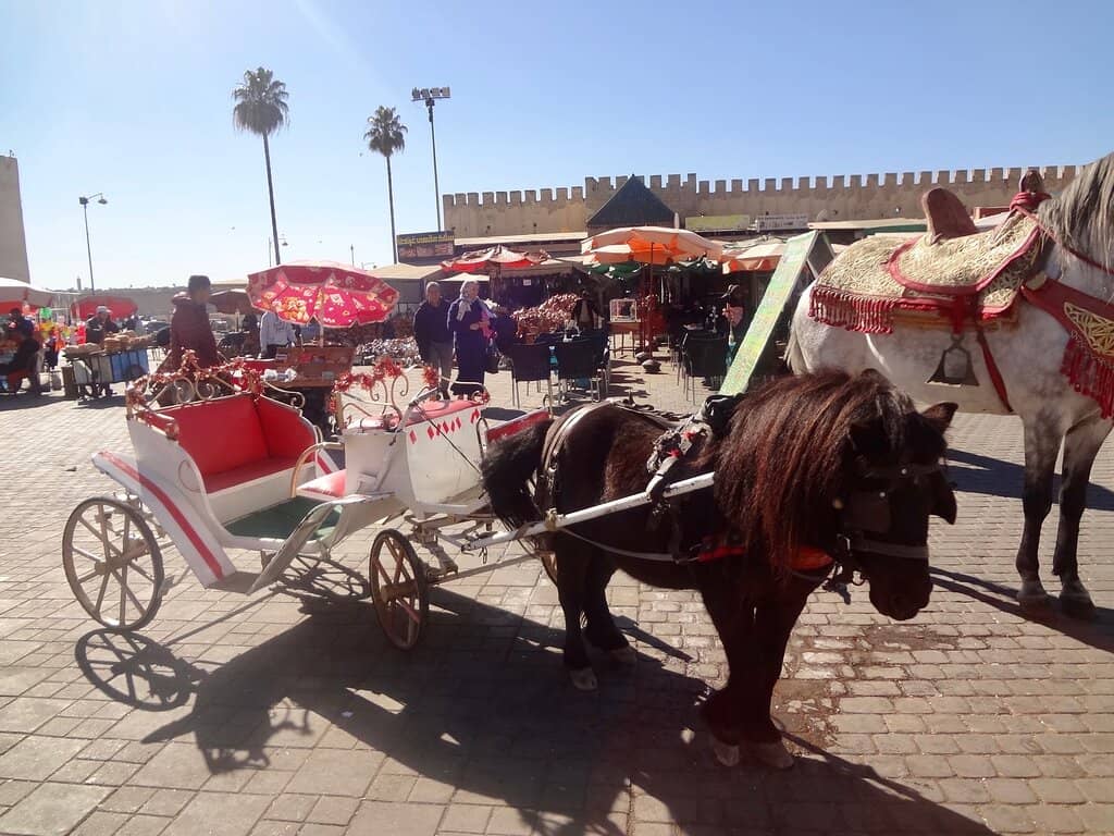 Imperial Architecture