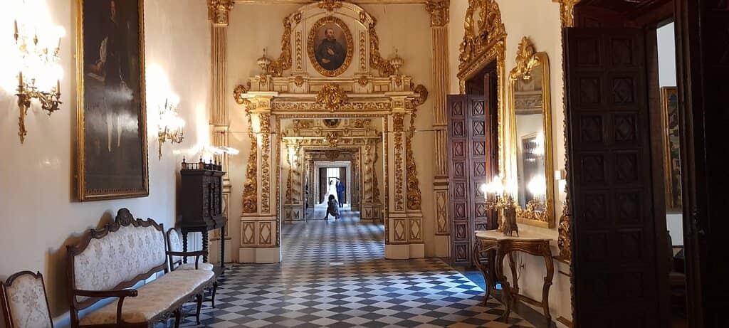 Palace Terrace Views