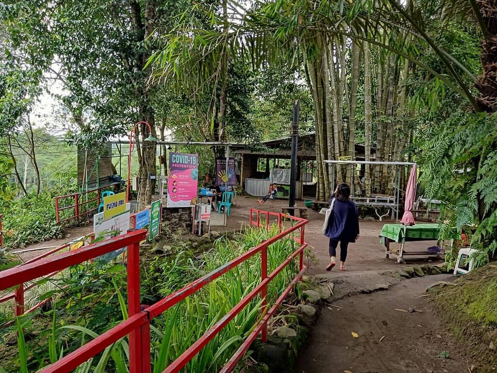 Flying Fox Adventure