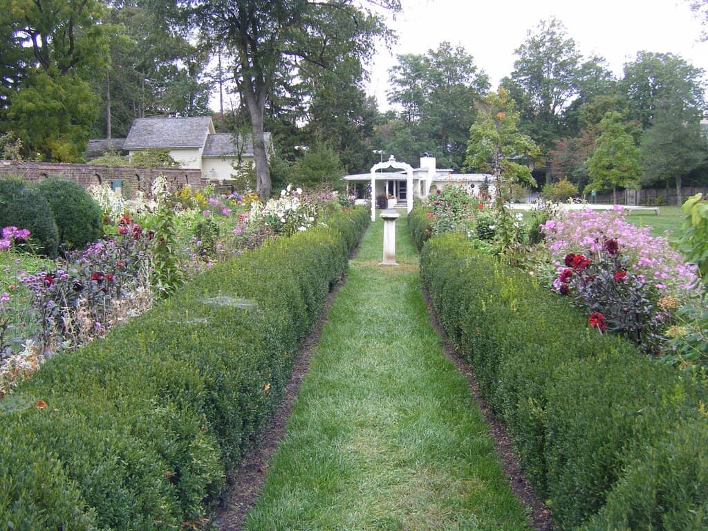 Secret Tea Room Experience