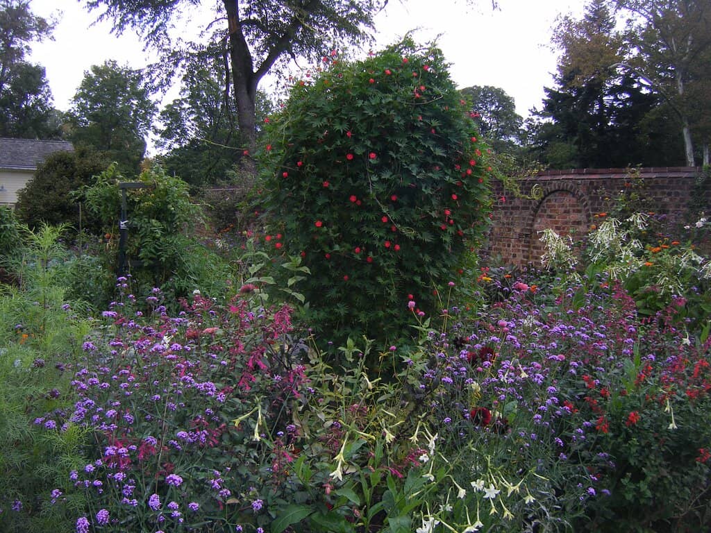 Morven Garden