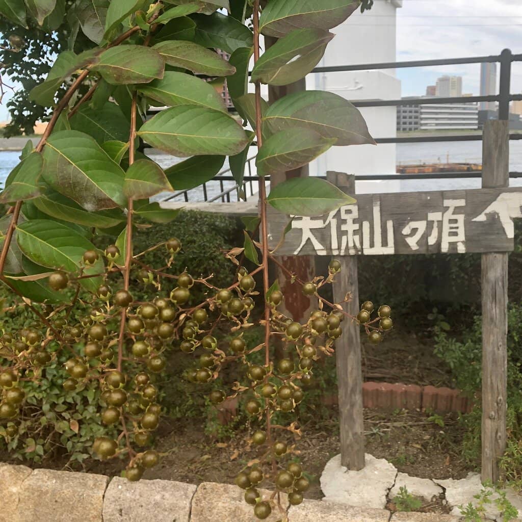 Tempozan Park
