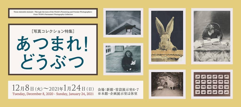 Japanese Gallery