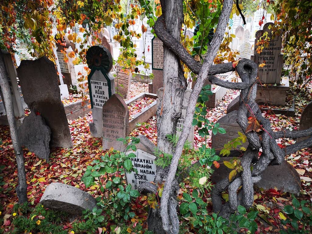 Seljuk Era Tombs