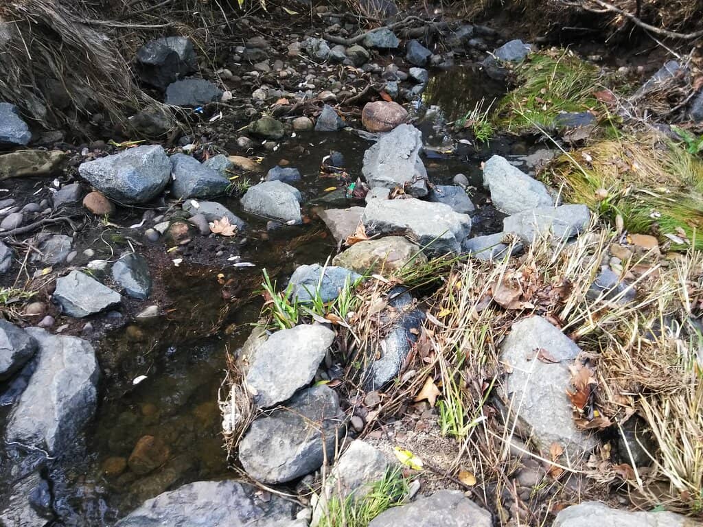 Tecolote Canyon Trail