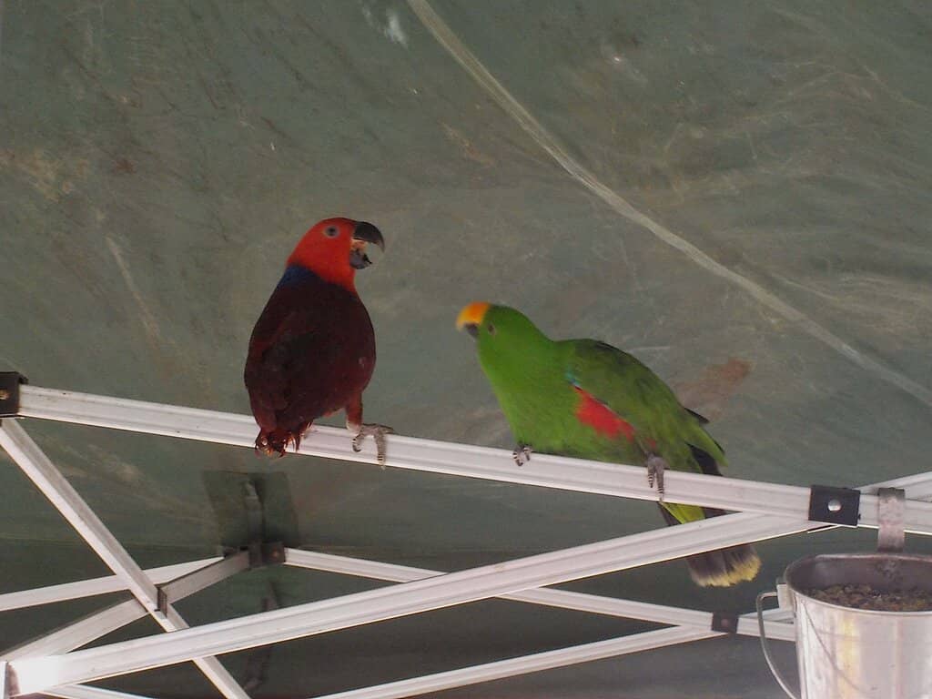 Daylesford Railway Market