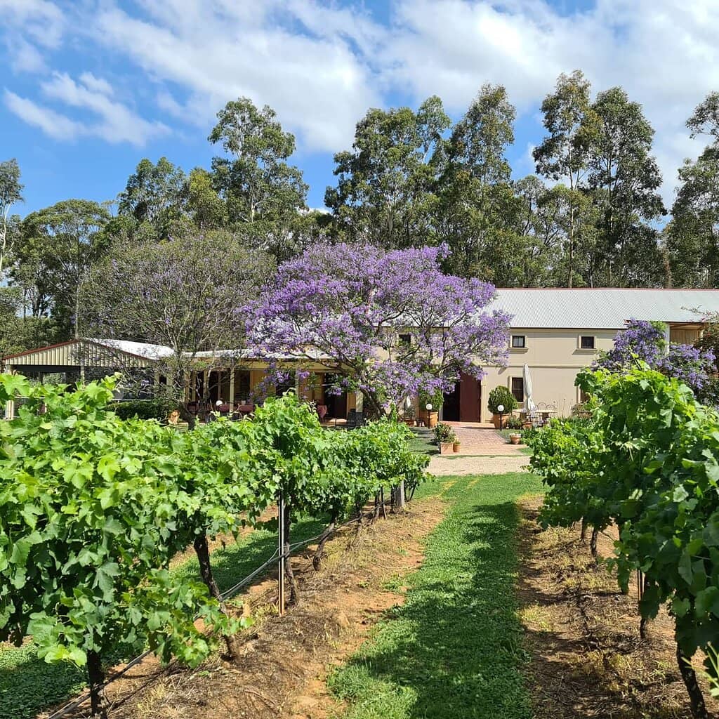 Olive Tasting Platters