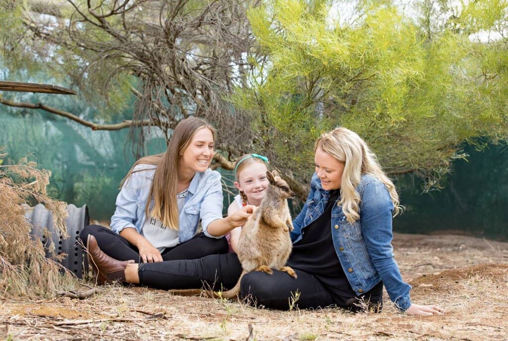 Lions 360 Experience