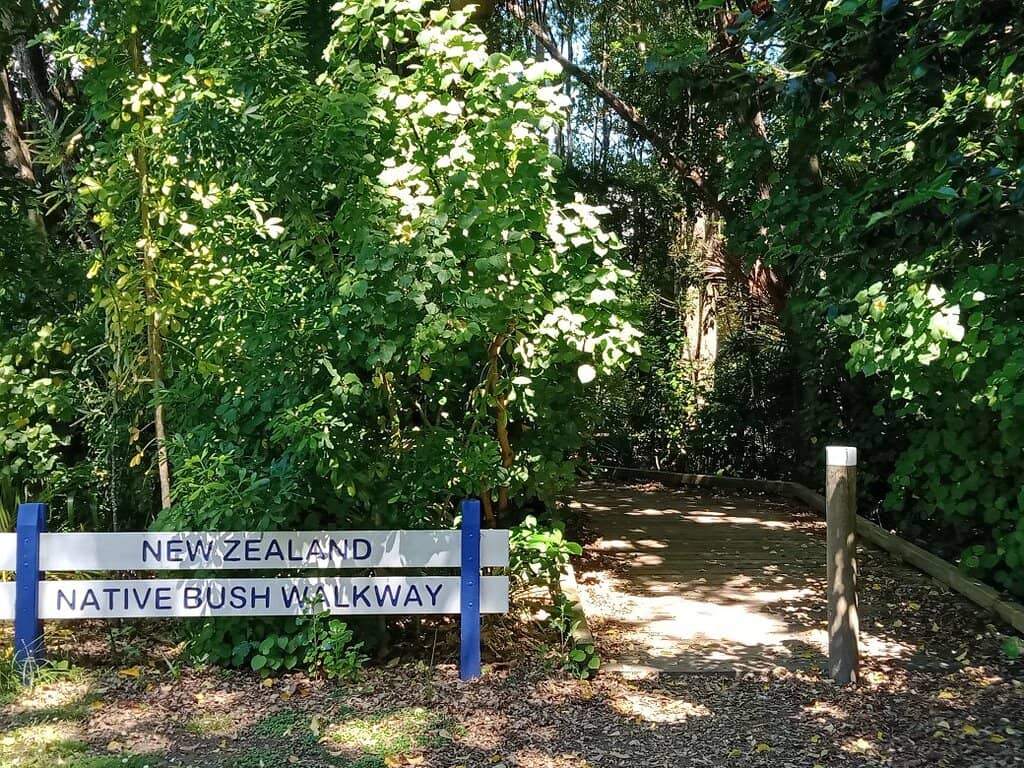 Native Bush Walk