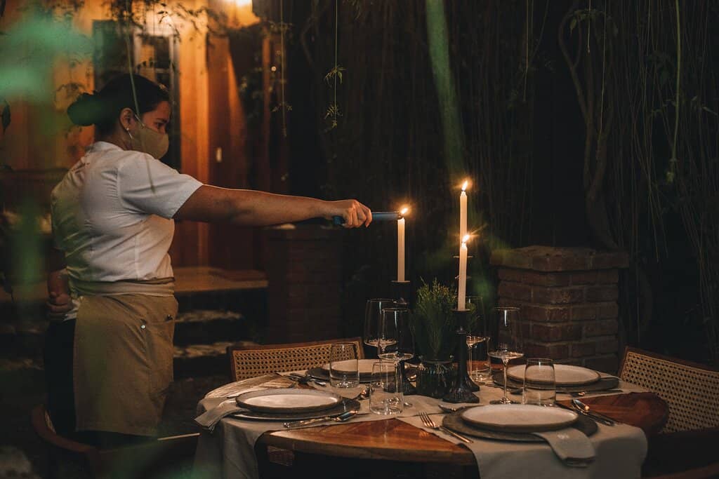 Beekeeping Experience