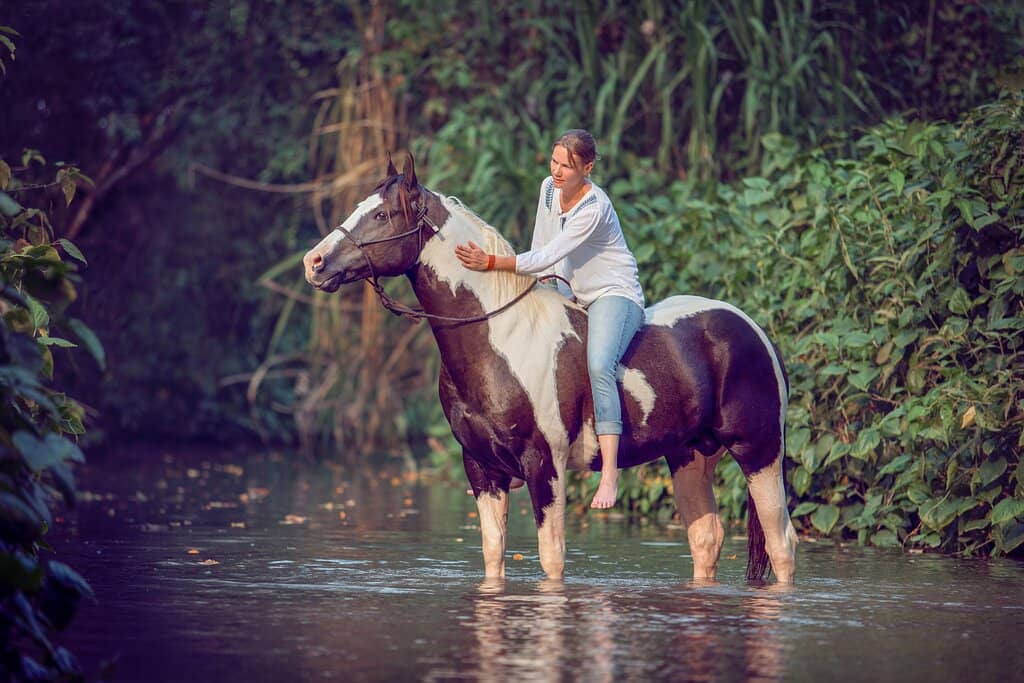Chocolate Making Workshop