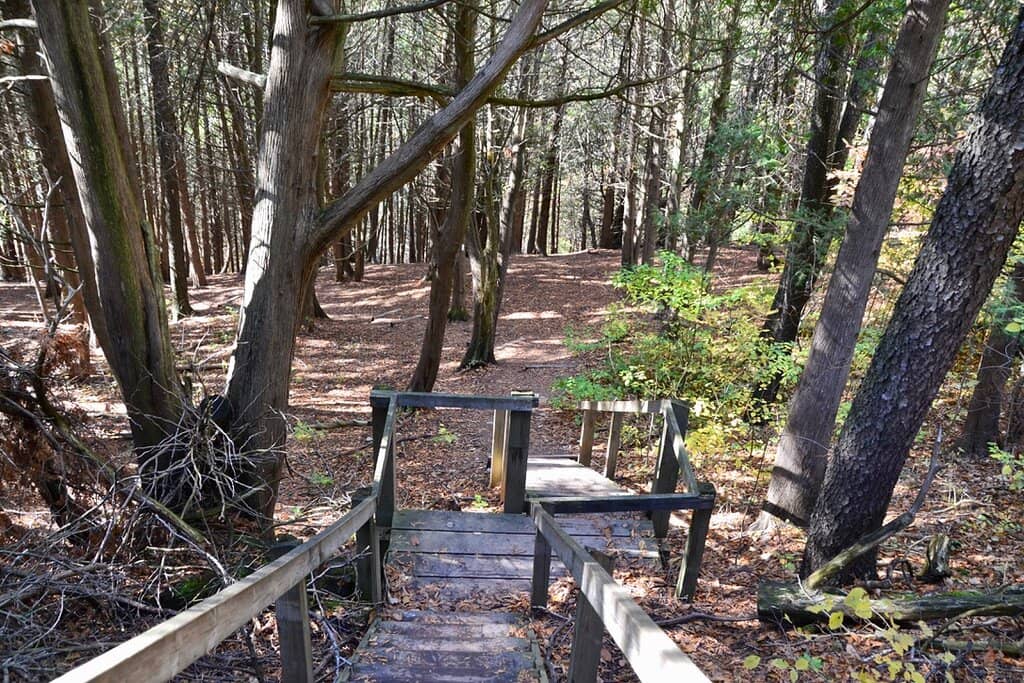 Fall Foliage Spectacle