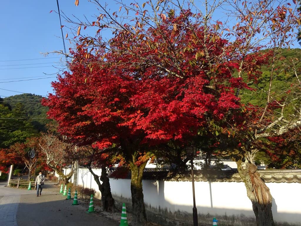 Rokkaku-tei Pavilion