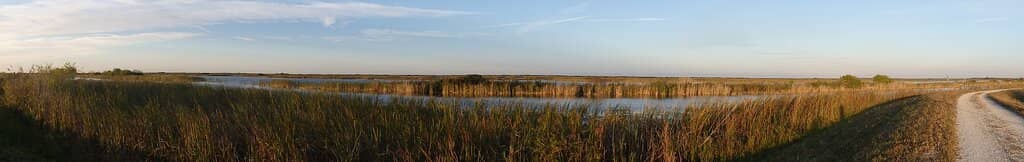 Birdwatching Paradise