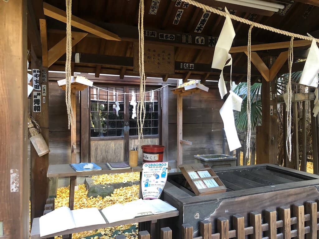 Cherry Blossom Spectacle